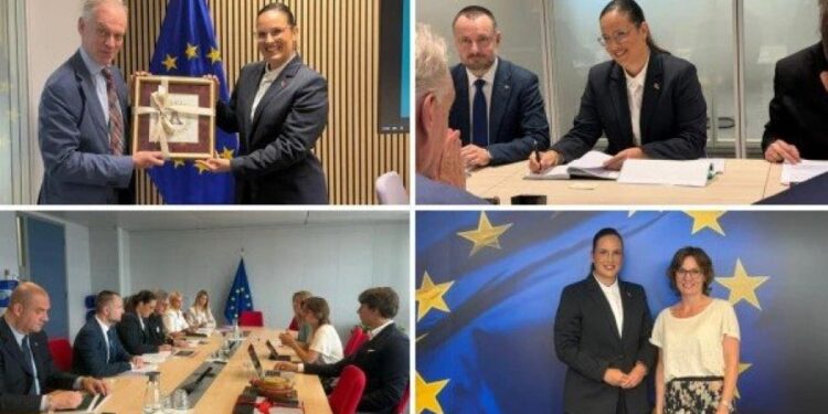 Srbija posvećena zelenoj tranziciji, Pavkov sastanci sa zvaničnicima u Briselu