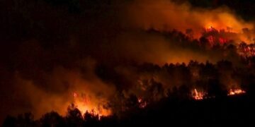 Temperature iznad 40 stepeni, vatrogasci se bore s požarima u Francuskoj