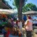 Savske vatre: Tradicionalna manifestacija uz miris kotlića i pesmu na obali Save