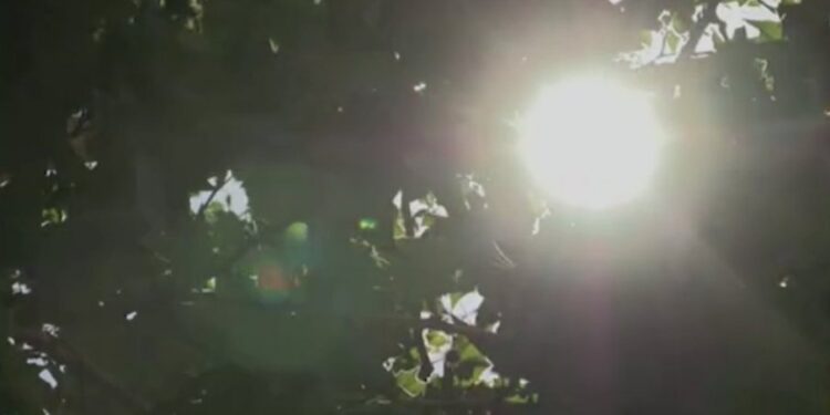 Sunčano i toplo vreme danas
