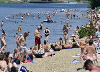 Meduze na Adi Ciganliji: Koliko su opasne za kupače?