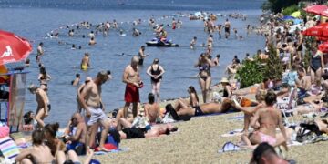 Meduze na Adi Ciganliji: Koliko su opasne za kupače?
