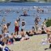 Meduze na Adi Ciganliji: Koliko su opasne za kupače?