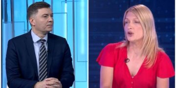 Zelenović kritikuje nevladine organizacije koje podržavaju EU u trajanju sukoba