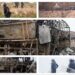 Migranti napadaju i pljačkaju u španskom gradu Seuti nakon provale iz Maroka