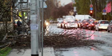 Nevreme u Hrvatskoj: Stabla pala na automobile u Kvarneru