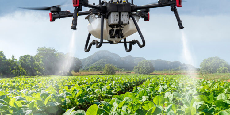 Nagrada za tim iz Novog Sada za upotrebu dronova u višnjicima u Pekingu