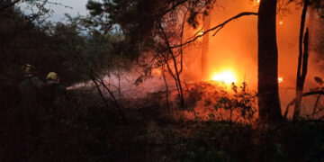 Požar kod Bojnika zahvatio tri sela, angažovano 45 vatrogasaca
