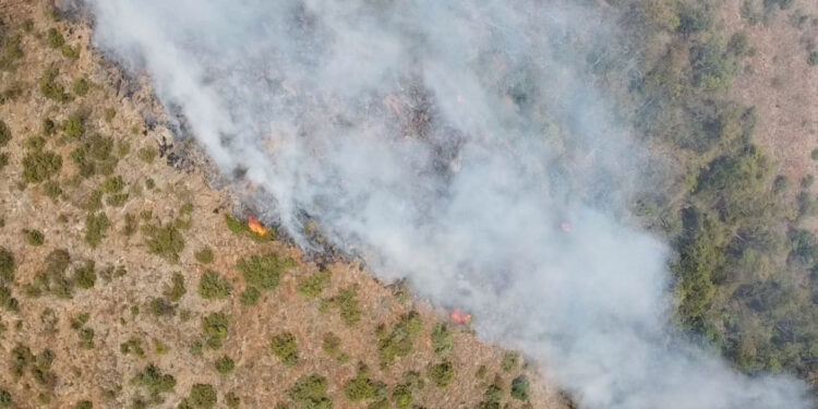 Požar u Dragačevu širi se brzo, meštani traže pomoć helikoptera
