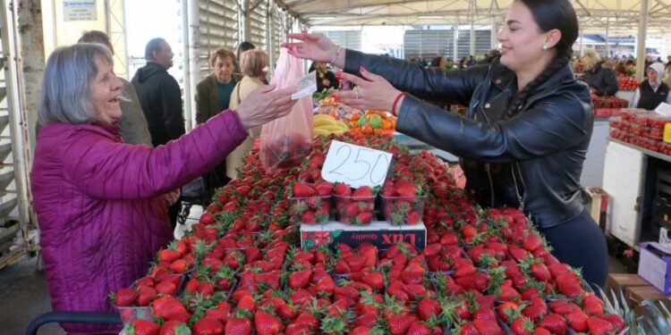 Srpska hrana dobila evropsku potvrdu: značajna vest za voćare i izvoznike