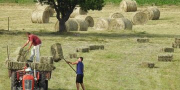 Novčana pomoć za sela: Krkobabić potpisao ugovore sa 13 opština