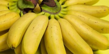 Mini banana: Objašnjenje zašto nisu nedozrele ni prerano ubrane