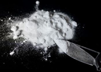 Policija u Zrenjaninu zaplenila više vrsta droga