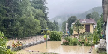 Nevreme u Sloveniji izazvalo haos: Krov odleteo, vetar obarao stabla