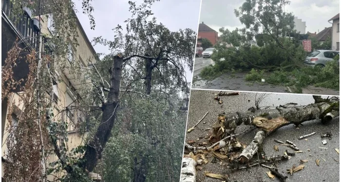 Oluja u Osijeku: Jak vetar obara stabla, građani uznemireni