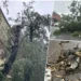 Oluja u Osijeku: Jak vetar obara stabla, građani uznemireni