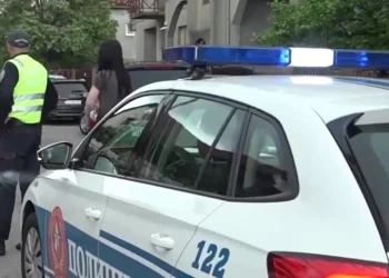 Muškarac sa snimka iz Cetinja priznao brutalno zlostavljanje psa na ulici