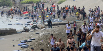 Migranti u Seuti optuženi za ubistvo mladunčeta delfina, snimak izazvao reakcije