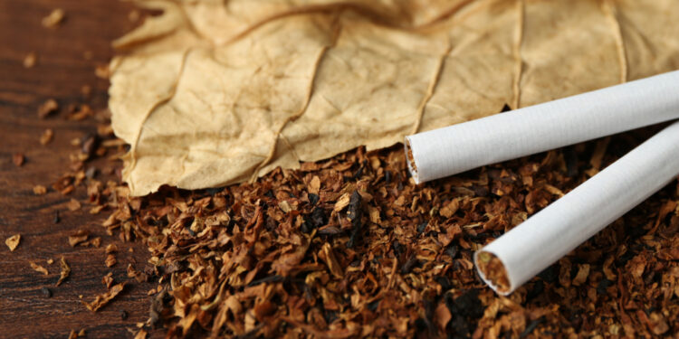 Hapšenje u Nišu: Otkriveno 11.750 paklica cigareta i 219,2 kg duvana
