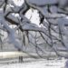 Temperatura u Rumuniji opala, sneg zabeležen na granici Slovačke i Poljske