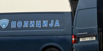 Topola se srušila i usmrtila 77-godišnjeg muškarca tokom seče