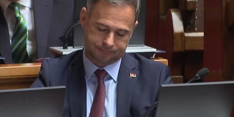 Razotkrivanje Aleksića i Parandilovića
