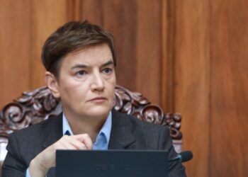 Ana Brnabić komentarisala Iliju Srdanovića