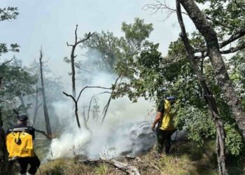 Nema opasnosti od širenja požara na Stolovima, ističe Reljić