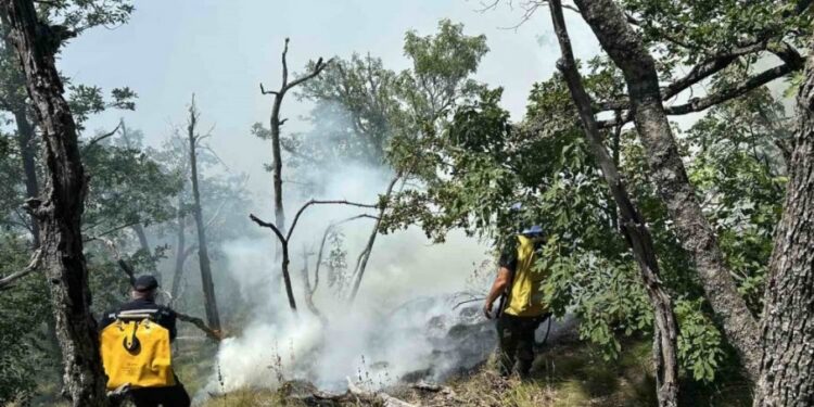 Nema opasnosti od širenja požara na Stolovima, ističe Reljić