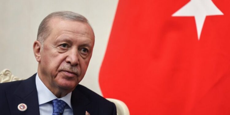 Turska osudila Srbiju zbog postupaka prema Erdoganu