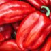 Cene paprika za ajvar: koliko koštaju nakon spasavanja od vrućine