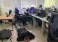 Masovne prevare preko kol-centara otkrivene u Kijevu, od Rusije do Amerike