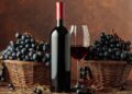 Vinogradarstvo: Ključne informacije za uspešnu berbu grožđa