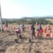 Cene krompira će rasti zbog smanjenja prinosa i površina u Srbiji i Evropi