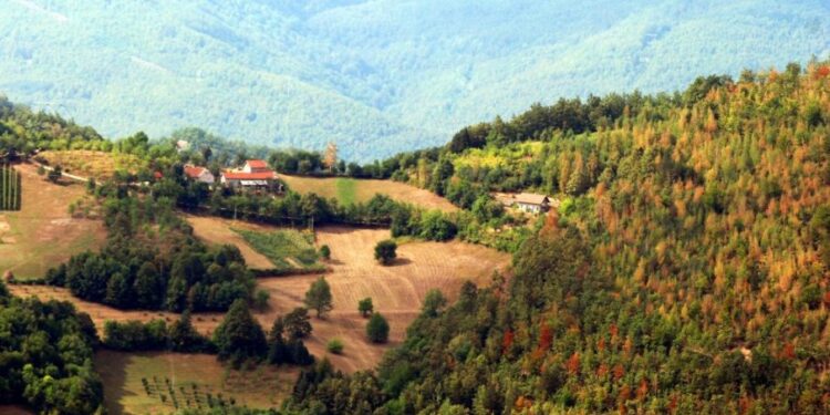Četiri rejona u Srbiji i preporučene kulture za sadnju