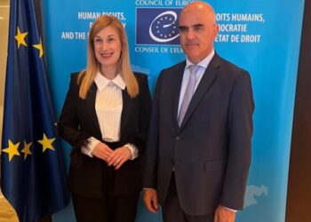 Nevena Jovanović razgovarala sa šefom Saveta Evrope u Njujorku