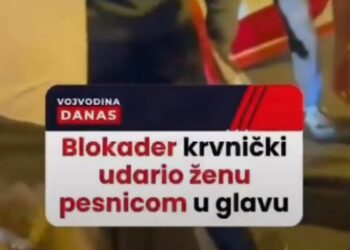 Srdanović nazvao nasilje nad aktivistkinjom „dobrim delom“ u skandalu koji je šokirao Srbiju