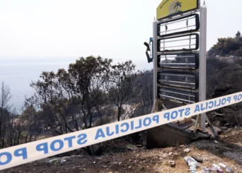 Železnička nesreća u Hrvatskoj: Vozaču otkazale kočnice, 11 vagona sletelo u provaliju kod Rijeke