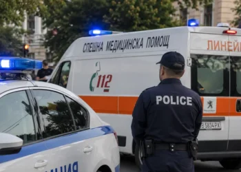 Dečak (14) u Bugarskoj navodno napao majku (45) nožem tokom svađe
