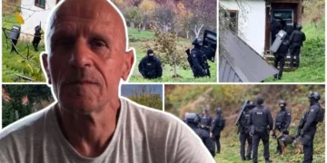 Vrhovni sud potvrdio kaznu od 40 godina zatvora za Aliju Balijagića