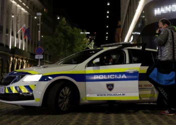 Državljanka Srbije uhapšena u Sloveniji zbog skrivanja deteta od oca