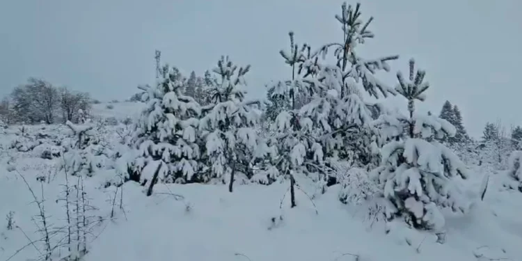 Zima stigla pre vremena, Hercegovina prekrivena snegom