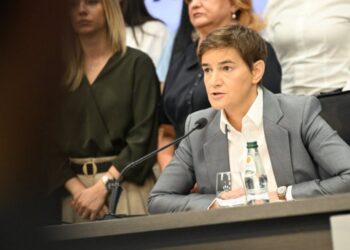 Ana Brnabić: Na Studentskoj listi nema novih članova