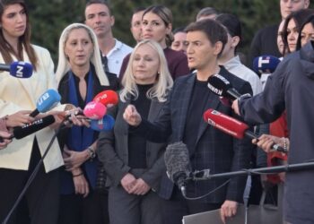 Studenti na blokadi: Brnabić optužuje advokata CRTA-e za podsticanje sukoba sa policijom