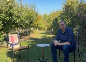 Dijalog sa kamenom za kupus: Vučić objavio video sa Srdanovićem