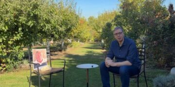 Dijalog sa kamenom za kupus: Vučić objavio video sa Srdanovićem