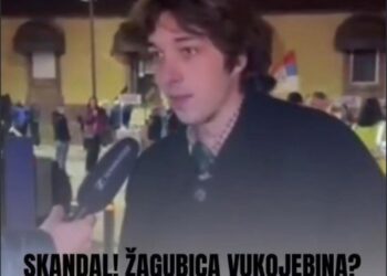 Studenti o Srbiji: Žagubica izaziva različite reakcije