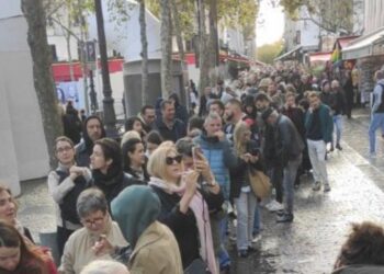 Dijaspora u Parizu: Rezultati glasanja i uticaj na izbore