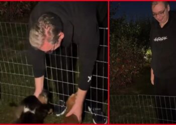 Vučić otkrio gde je pronašao mir nakon sinoćnjeg nasilja (VIDEO)